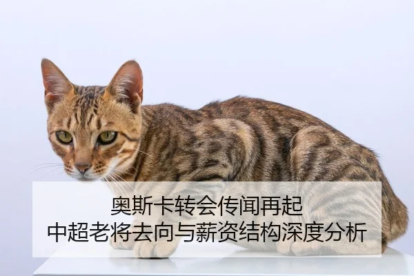 奥斯卡转会传闻再起 中超老将去向与薪资结构深度分析