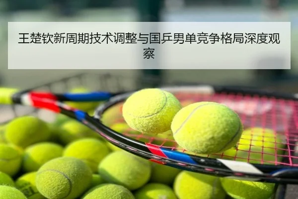 王楚钦新周期技术调整与国乒男单竞争格局深度观察
